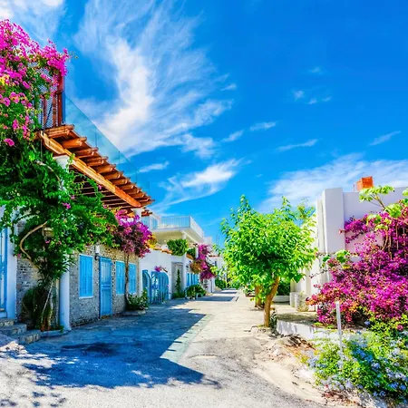 Отель Eskicesme Lumy - Private Pool *